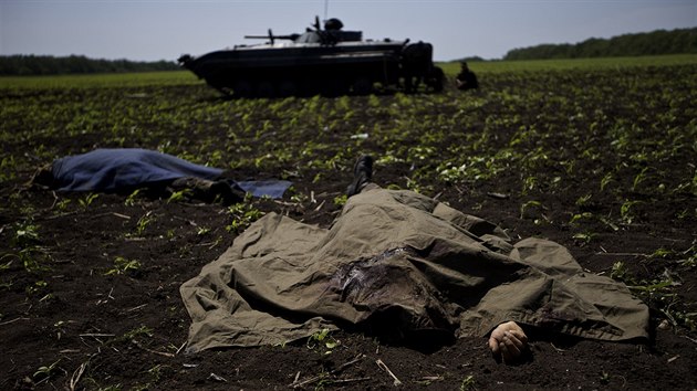 Kyjev hls po poslednch stetech s proruskmi vzbouenci na vchod nkolik mrtvch vojk (22. kvtna 2014).