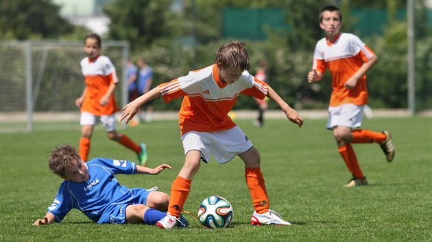 V Androv sportovnm arelu na trninkovm hiti Sigmy slo dv se 21. kvtna uskutenilo krajsk finle 17. ronku McDonals Cupu.