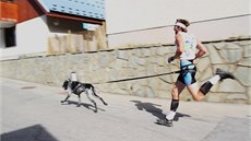 Jen vy a pes. A souznění mezi vámi, to je canicross. Jen vy a pes. A souznění mezi vámi, to je canicross.