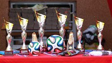 Malí fotbalisté ákovské kategorie se stetli ve stedu 21. kvtna v Brn v...