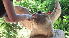 Mezi šestnáctkou skvostů dominuje rovněž věrná napodobenina výra velkého s... Mezi šestnáctkou skvostů dominuje rovněž věrná napodobenina výra velkého s...
