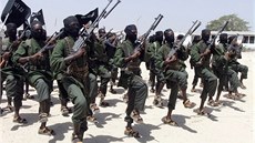 Milice abáb bojují nkolik let proti ústední somálské vlád ve snaze zavést v...