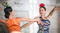 Stejn jako loni i letos slibuje festival Colores Flamencos hvzdy svtových...
