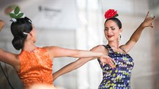 Stejně jako loni i letos slibuje festival Colores Flamencos hvězdy světových... Stejně jako loni i letos slibuje festival Colores Flamencos hvězdy světových...