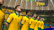 2014 FIFA World Cup Brazil