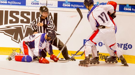 Momentka z utkání eské reprezentace v inline hokeji proti Slovensku.  