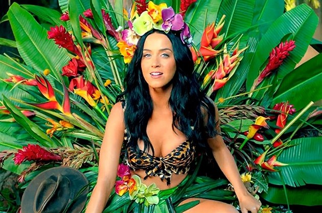 Zpvaka Katy Perry (2014)