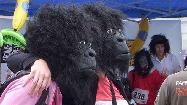 Bh pro gorily - ped startem se bci fotografovali v maskch. (28. kvtna 2011)