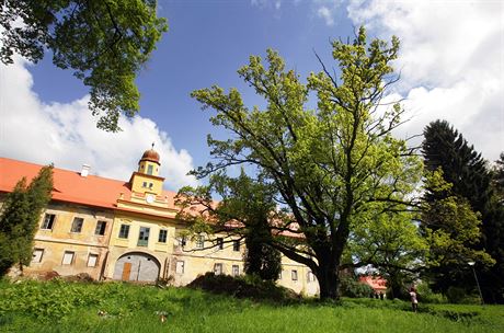 Obec se pustila i do obnovy zámeckého parku. Roste v nm napíklad 350 let...