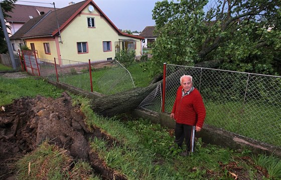 Hasii odstraovali na Vysoin kvli boukám nkolik vyvrácených strom. (11....