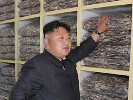 Severokorejský vdce Kim ong-un zavítal na inspekci ponorek námonictva KLDR