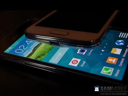 Samsung Galaxy S5 mini