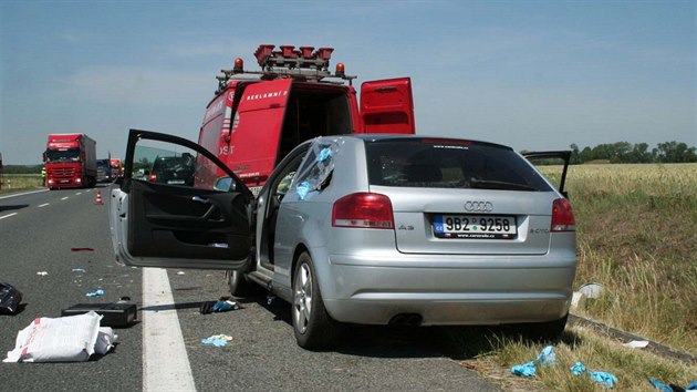 Srka Audi a dodvky u Pohoelic (10. ervna, 2014).