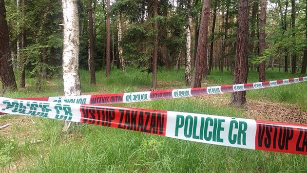 Policie uzavela msto v klnovickm lese, kde nali kolejdouc ohoel tlo (14. ervna 2014).