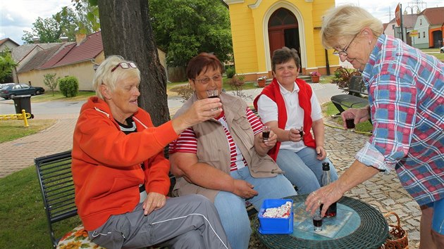 siln se stalo Vesnic roku v Jihoeskm kraji 2014 a mstn hned zaali slavit na nvsi.