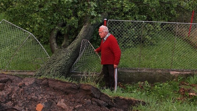 Hasii odstraovali na Vysoin kvli boukm nkolik vyvrcench strom. (11. ervna 2014)