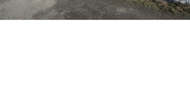 Rozlehl zahrada se svauje k silnici, kde je zakonena plotem z gabionovho zdiva a pletiva z pozinkovan oceli. Zdroj: www.mujdum.cz





