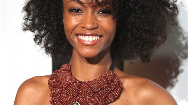 Yaya DaCosta (New York, 17. jna 2011)