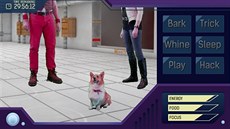 Corgi Simulator 2071