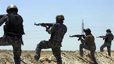 Irátí vojáci hlídkují na hranicích provincií Karbala a Anbar (16. ervna 2014).