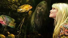 Dobrovolnice Greenpeace Kateřina Holubová z Hradce Králové. Dobrovolnice Greenpeace Kateřina Holubová z Hradce Králové.
