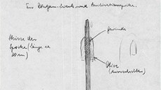 Claubergova injekní stíkaka, pouívaná ke sterilizaci. Nakreslil ji Carl