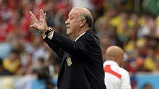 USTARANÝ. Španělský kouč Vicente Del Bosque gestikuluje na své svěřence při... USTARANÝ. Španělský kouč Vicente Del Bosque gestikuluje na své svěřence při...