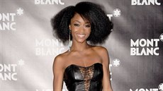 Yaya DaCosta (New York, 12. záí 2010)