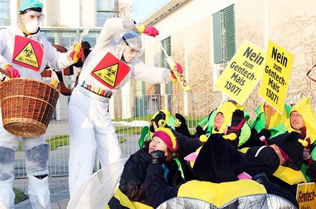 Protesty proti geneticky modifikované kukuici v Nmecku v roce 2014