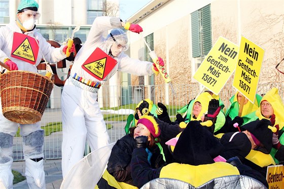 Protesty proti geneticky modifikované kukuici v Nmecku v roce 2014