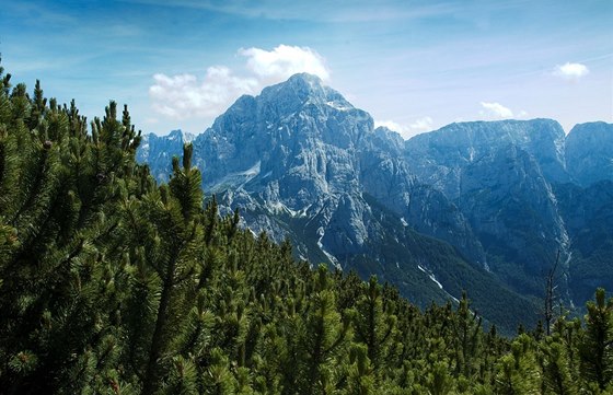 Vápencová hora Montasio je druhým nejvyím vrcholem Julských Alp. Vyí je u