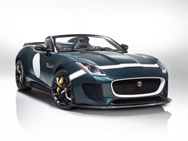 Koncept Jaguar oblékl do tradiní britské závodní zelené barvy a pidal bílé...