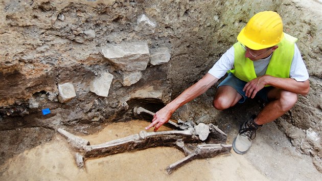 Nlez lidsk kostry na Zelnm trhu v Brn z doby bronzov. Ostatky nalezli archeologov pod vedenm Antonna Zbka.