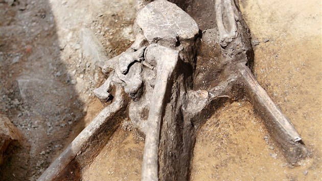Nlez lidsk kostry na Zelnm trhu v Brn z doby bronzov. Ostatky nali archeologov pod vedenm Antonna Zbka.