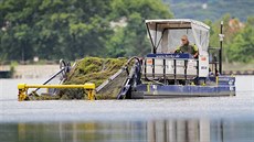 Speciálně upravená loď čistí před sezónou Velký Bolevecký rybník v Plzni od řas. Speciálně upravená loď čistí před sezónou Velký Bolevecký rybník v Plzni od řas.