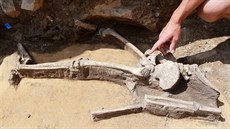 Nález lidské kostry na Zelném trhu v Brn z doby bronzové. Ostatky nalzli...