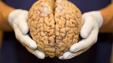 Touha po novém poznání někdy může vědce vést k manipulaci s lidmi. Touha po novém poznání někdy může vědce vést k manipulaci s lidmi.