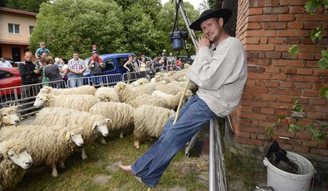 Vlastimil Bischof se zabývá stíháním ovcí.