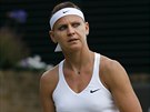 esk tenistka Lucie afov zvldla osmifinle Wimbledonu proti krajance...