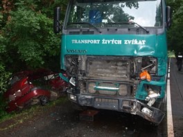 Pi dopravn nehod mezi obcemi Mytves a Sukorady na Jinsku zemela idika...