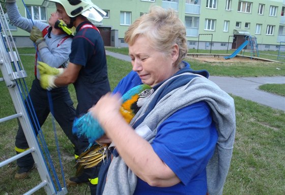 astná majitelka se po zásahu hasi znovu shledala se svým vzácným papoukem