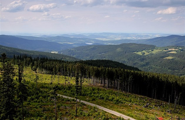 Pohled z rozhledny na umavském vrcholu piák