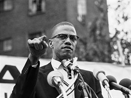 Malcolm X (1964)