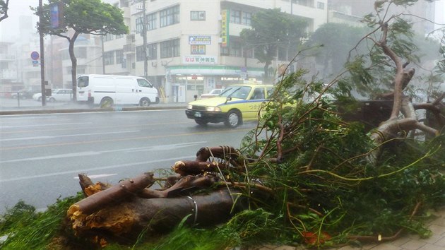 Strom se zlomil kvli silnmu vtru v Okinaw, k Japonsku se bl tajfun Neoguri (8. ervence 2014).