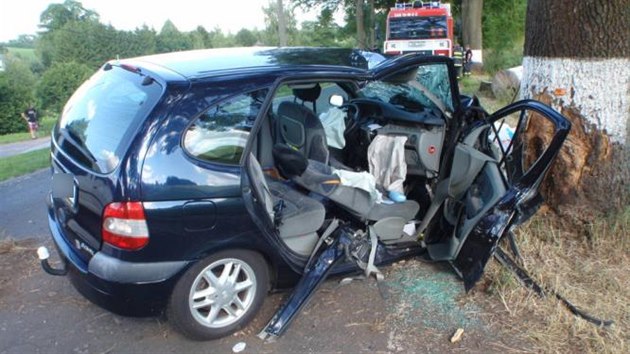 Renault boural v obci Horn Olenice na Trutnovsku do stromu.