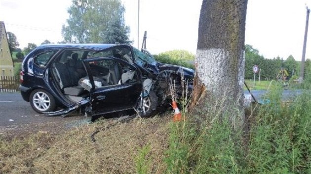 idi boural na rovince do stromu. Spolujezdkyni pepravil do nemocnice vrtulnk (6. ervence 2014).