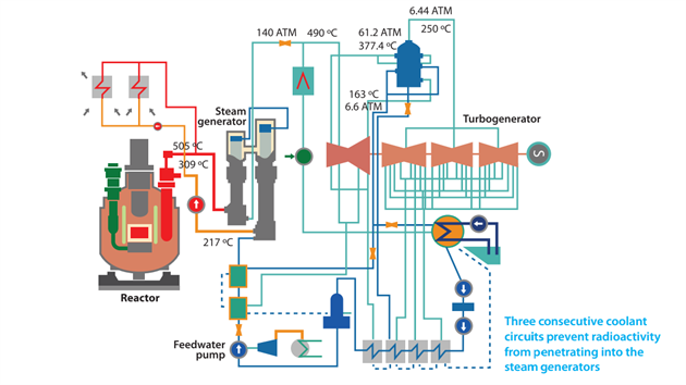 Schma tepelnch tok v reaktoru BN-800. Sodkov st okruhu chlazen je vyznaena erven a oranov a pracovn teplota se pohybuje cca od 300 do 500 stup Celsia. Za parogenertorem (stem generator) u se pouv vhradn voda (resp. pra), kter pohn turbnu. Teploty v parnm okruhu nejsou odlin od sodku (do cca 500C), ale tlaky jsou v nm podstatn vy (a 140nsobek atmosfrickho tlaku).