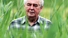 Prezident Miloš Zeman na procházce kolem Veselského rybníka (1. července 2014). Prezident Miloš Zeman na procházce kolem Veselského rybníka (1. července 2014).