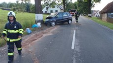 Renault boural v obci Horní Olenice na Trutnovsku do stromu.