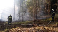 Na likvidaci pti poár lesní hrabanky v prbhu pouhých tí dn se podíleli...